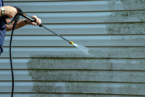 Local Pressure Washing Services in Pearland, TX