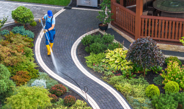 Best Power Washing Near Me  in Pearland, TX