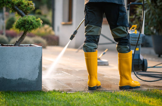 Best Roof Power Washing Services  in Pearland, TX